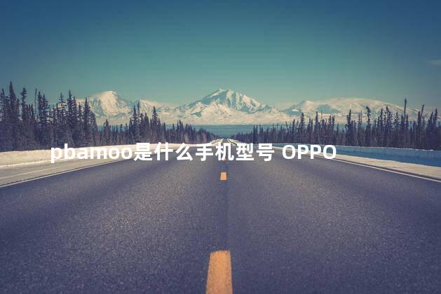 pbamoo是什么手机型号 OPPOA5算老吗